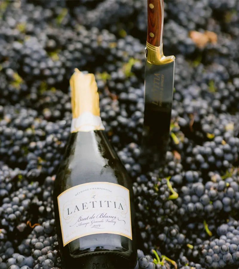 Arroyo Grande Burgundy & Champagne