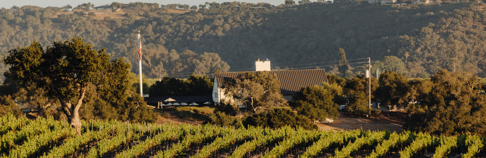 Cultivating the Future