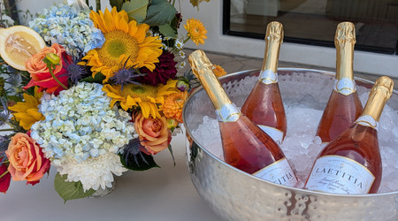 Laetitia Family Welcome Celebration!