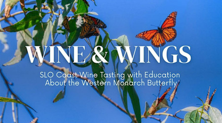Wine and Wings: An Evening for Monarch Conservation