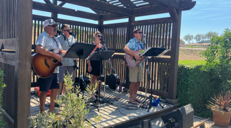 Live Music