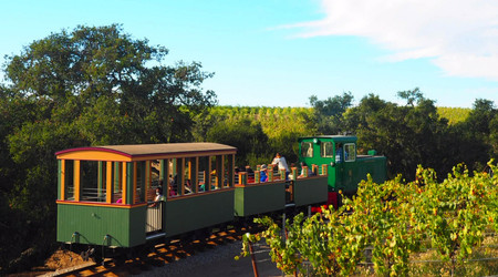 Train and Vineyard Family Day!