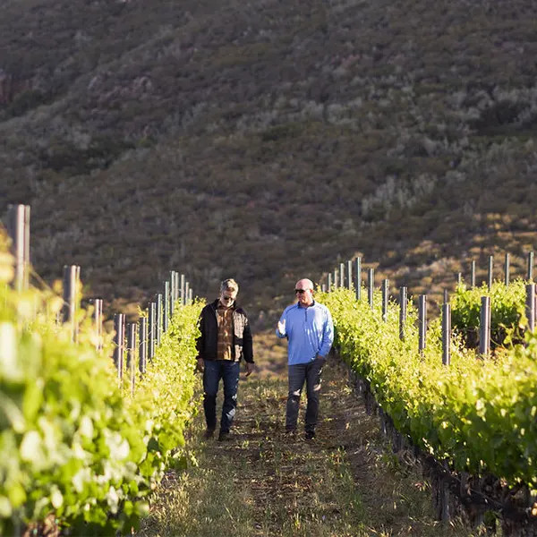 Laetitia Winery Photos