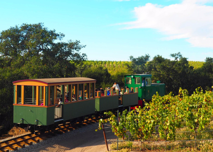 Train and Vineyard Family Day!