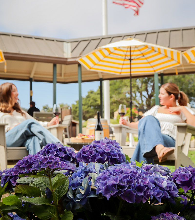 Laetitia Arroyo Grande Tasting Room